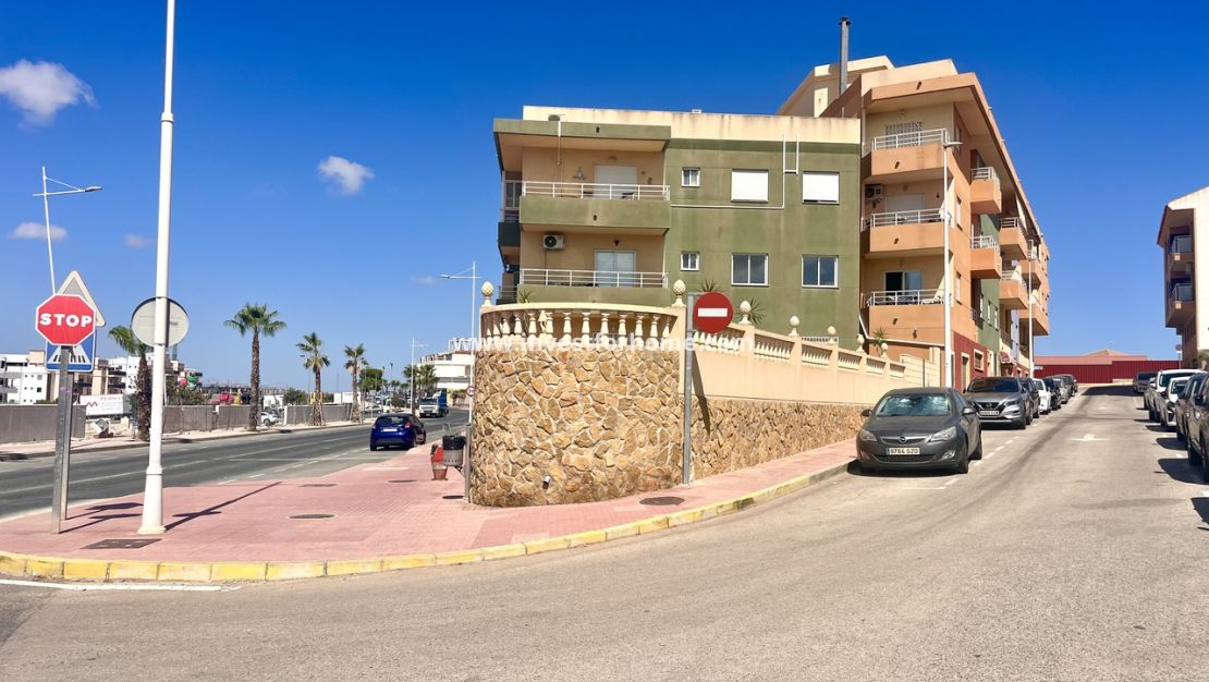 Sale - Apartment - San Miguel de Salinas - Inland
