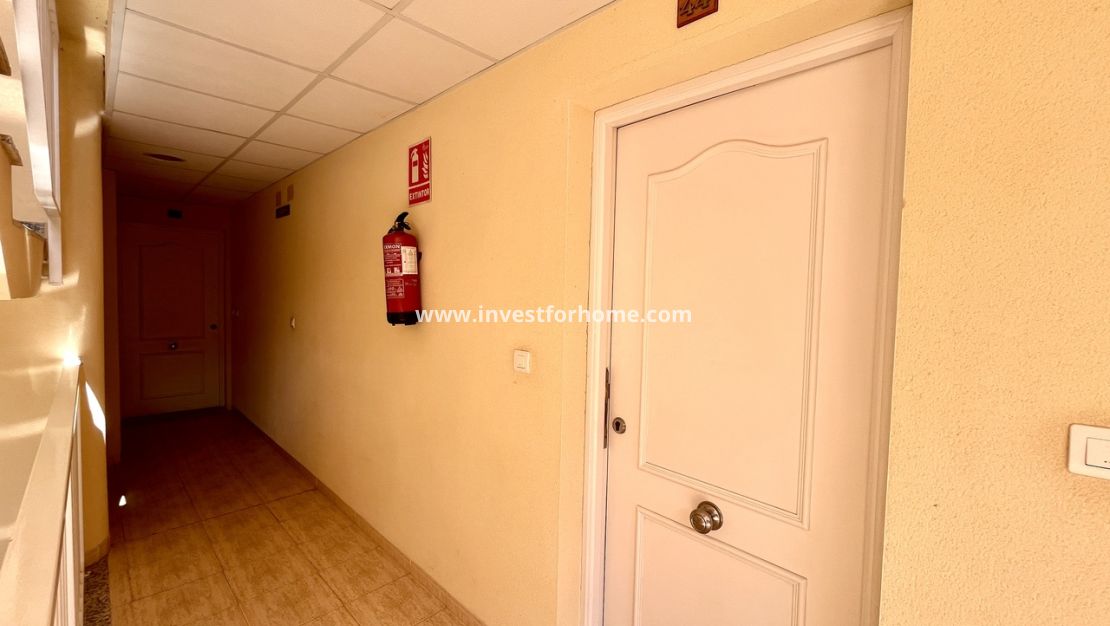 Sale - Apartment - San Miguel de Salinas - Inland
