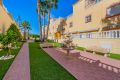 Sale - Apartment - San Miguel de Salinas - Inland