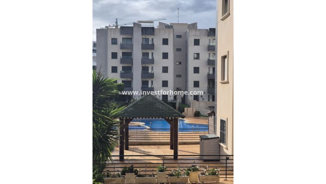 Sale - Apartment - San Miguel de Salinas - Inland