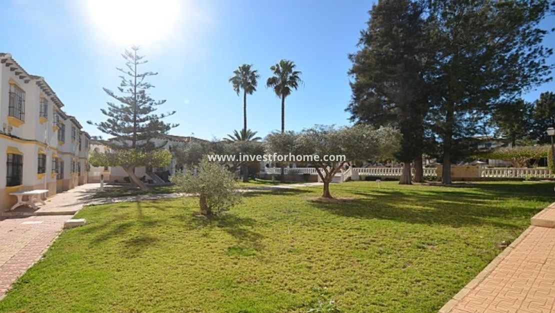 Sale - Apartment - San Miguel de Salinas - Inland