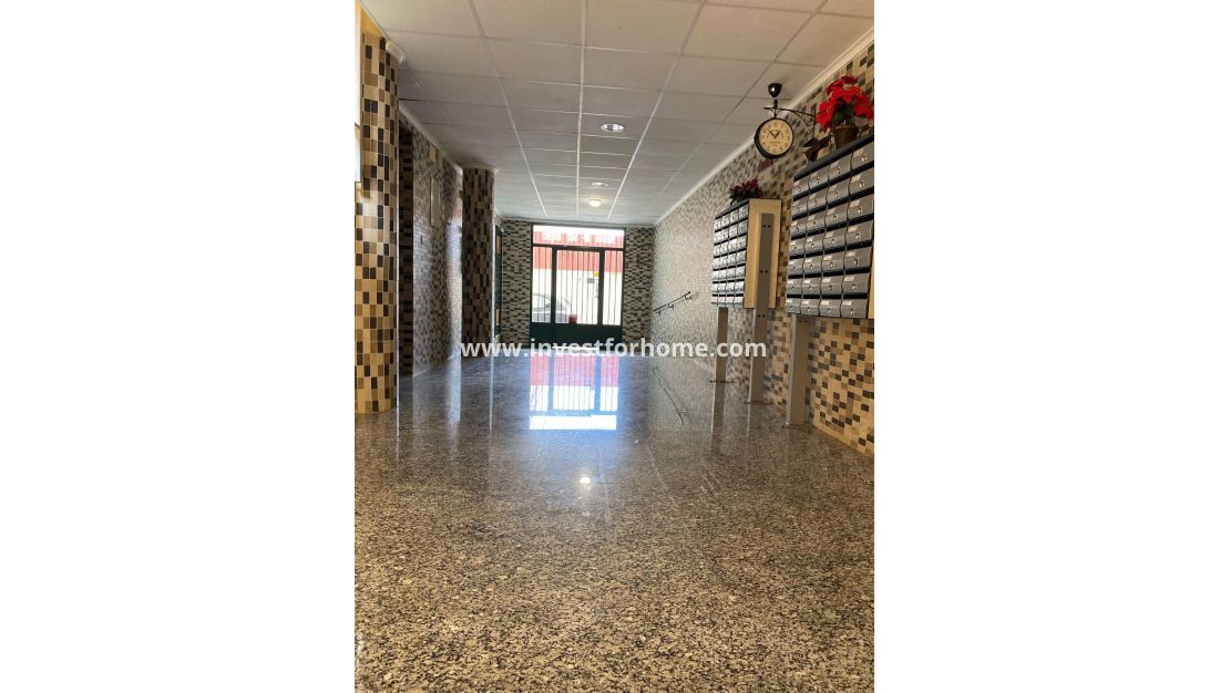 Sale - Apartment - San Miguel de Salinas - Pueblo 9