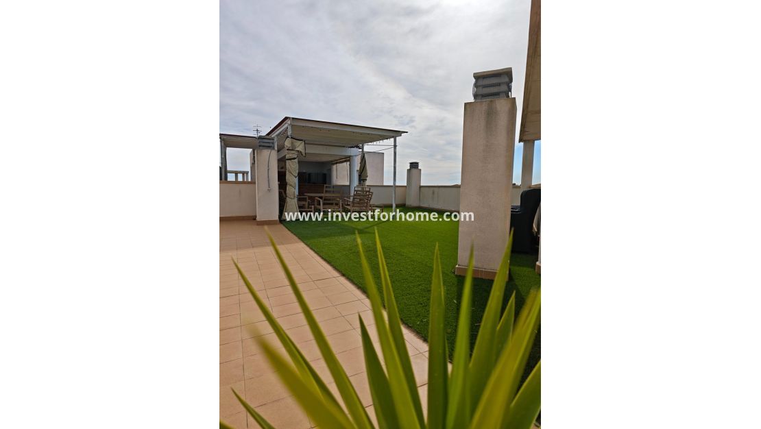 Sale - Apartment - San Miguel de Salinas