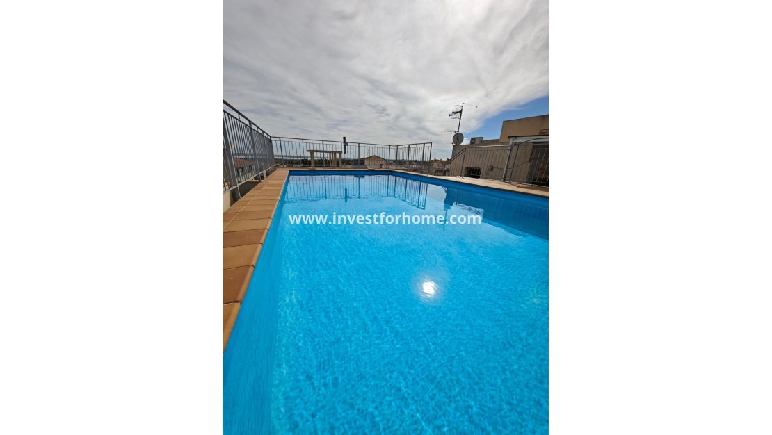 Sale - Apartment - San Miguel de Salinas