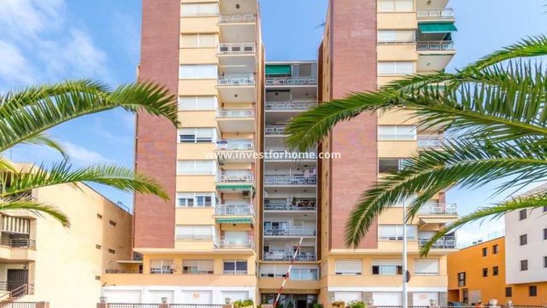 Sale - Apartment - San Pedro del Pinatar - Villananitos
