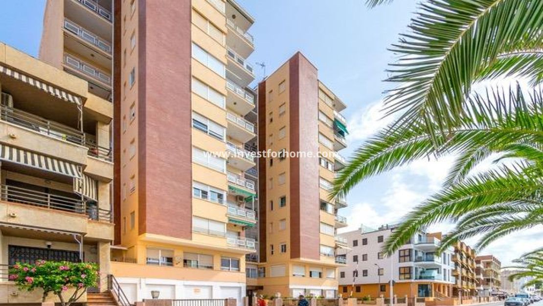 Sale - Apartment - San Pedro del Pinatar - Villananitos