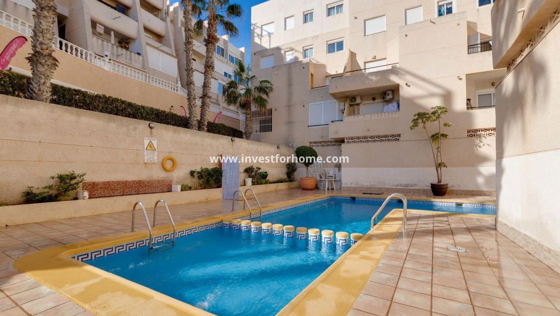 Sale - Apartment - Torrevieja - Cabo Cervera