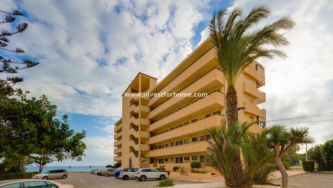 Sale - Apartment - Torrevieja - Cabo Cervera