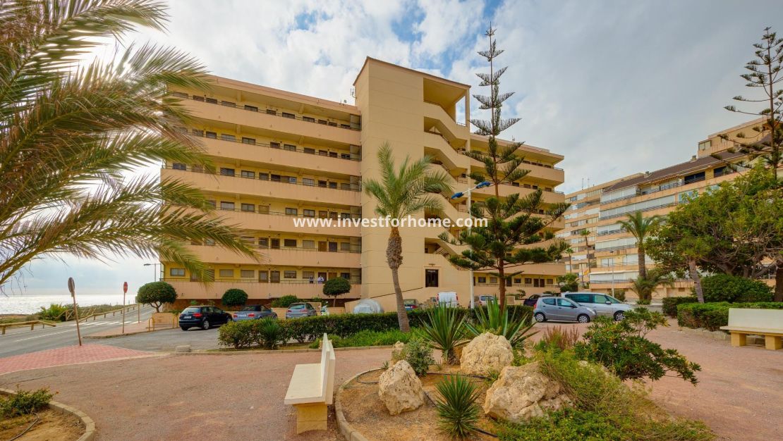 Sale - Apartment - Torrevieja - Cabo Cervera