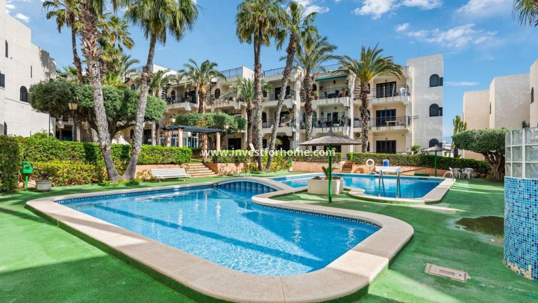 Sale - Apartment - Torrevieja - Cabo Cervera