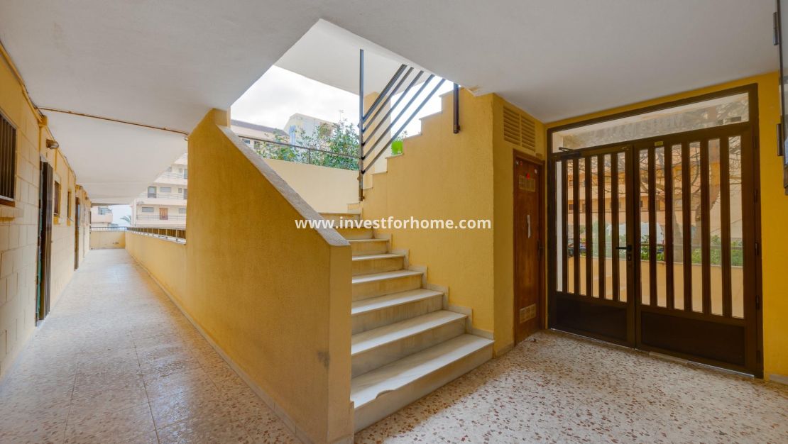 Sale - Apartment - Torrevieja - Cabo Cervera