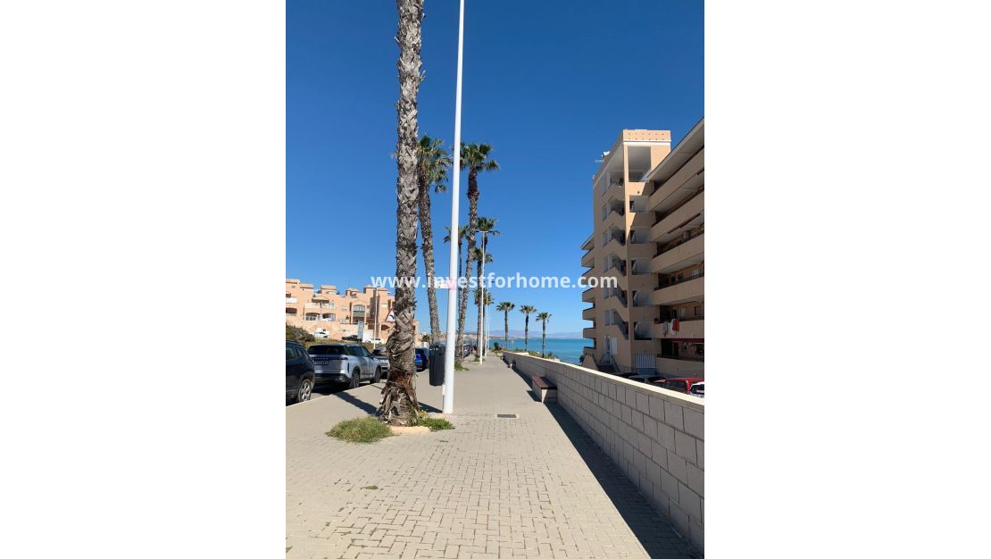 Sale - Apartment - Torrevieja - Cabo Cervera