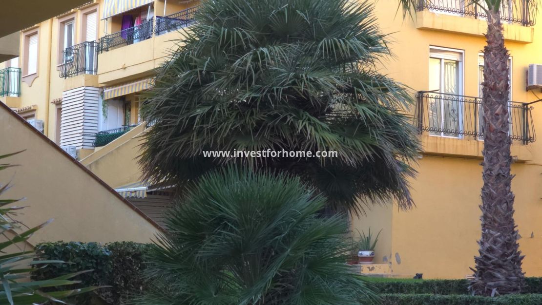 Sale - Apartment - Torrevieja - Cala Ferris