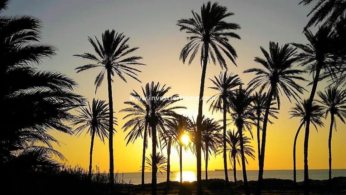 Sale - Apartment - Torrevieja - Centro