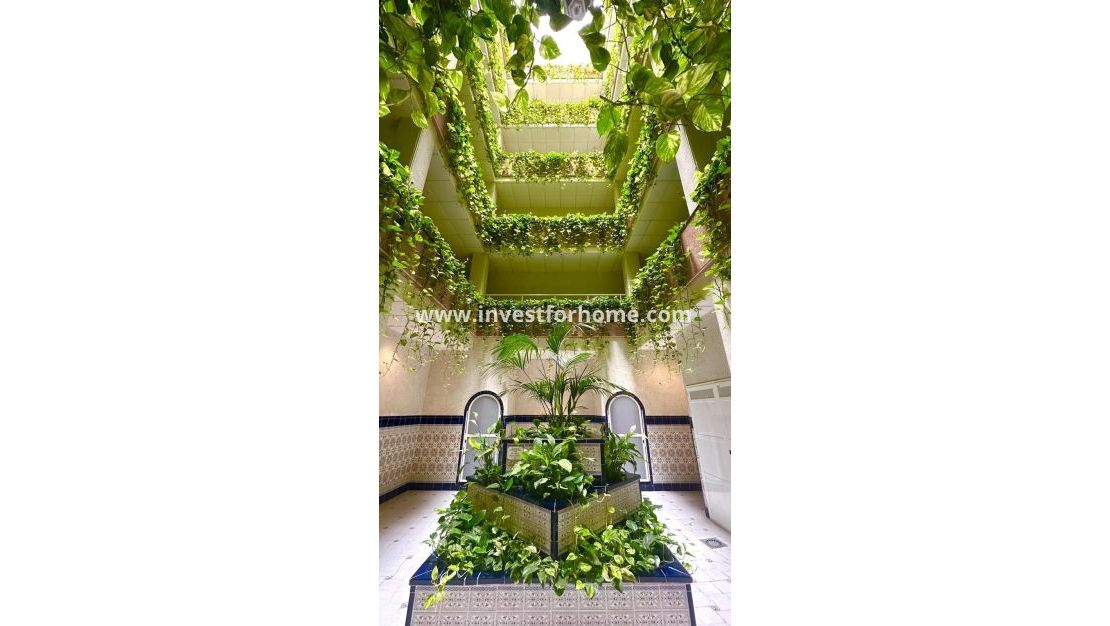 Sale - Apartment - Torrevieja - Centro