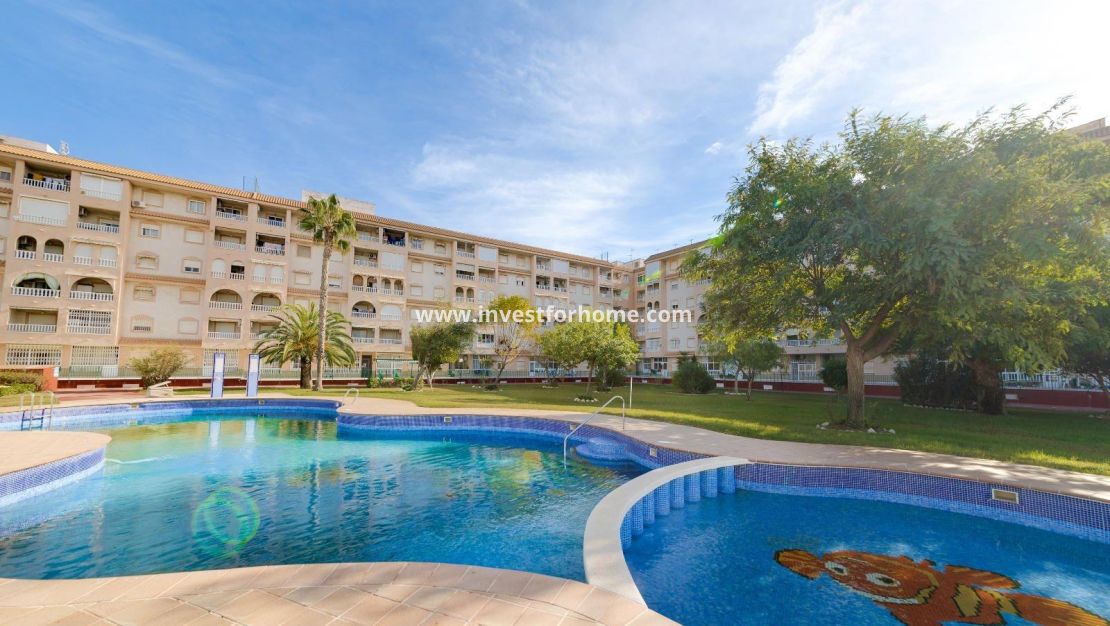 Sale - Apartment - Torrevieja - Centro