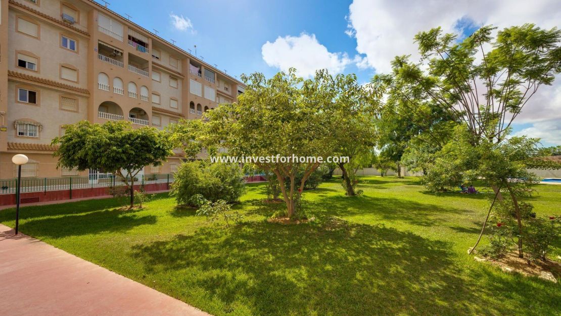 Sale - Apartment - Torrevieja - Centro