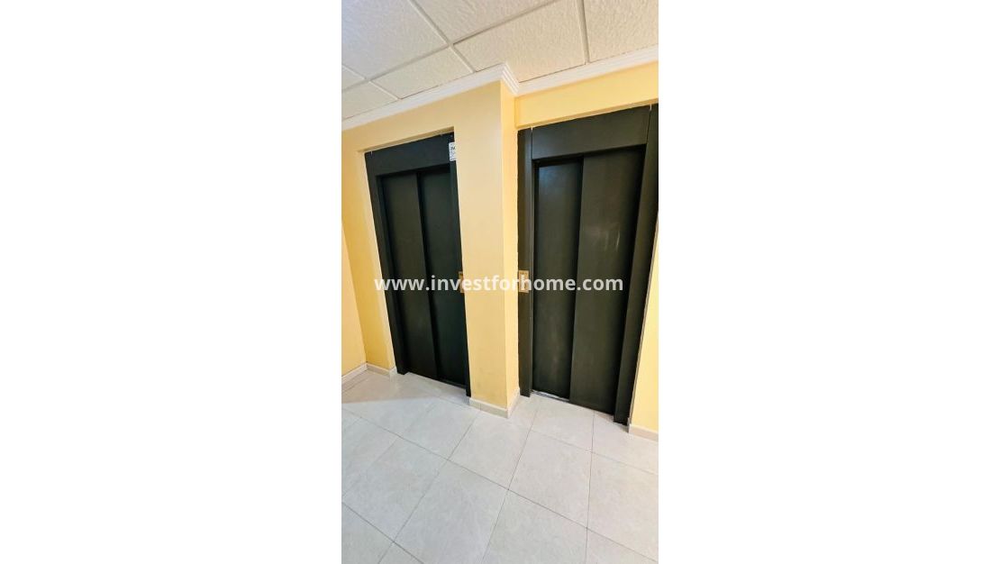 Sale - Apartment - Torrevieja - Centro