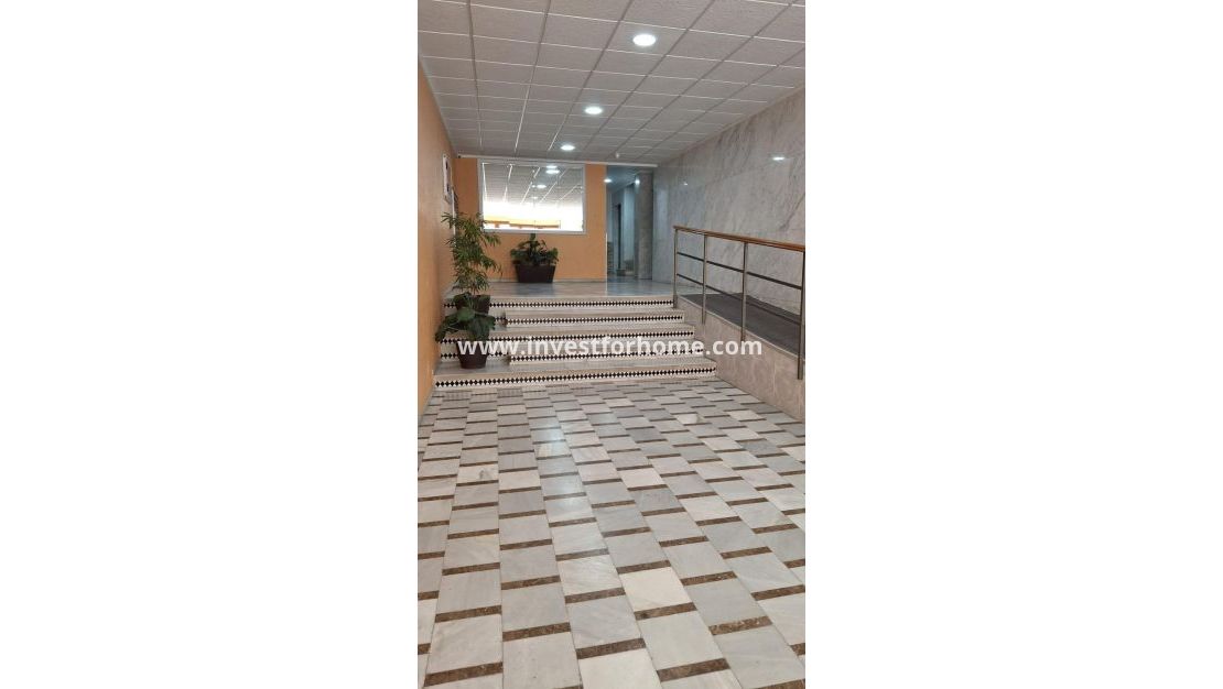 Sale - Apartment - Torrevieja - Centro