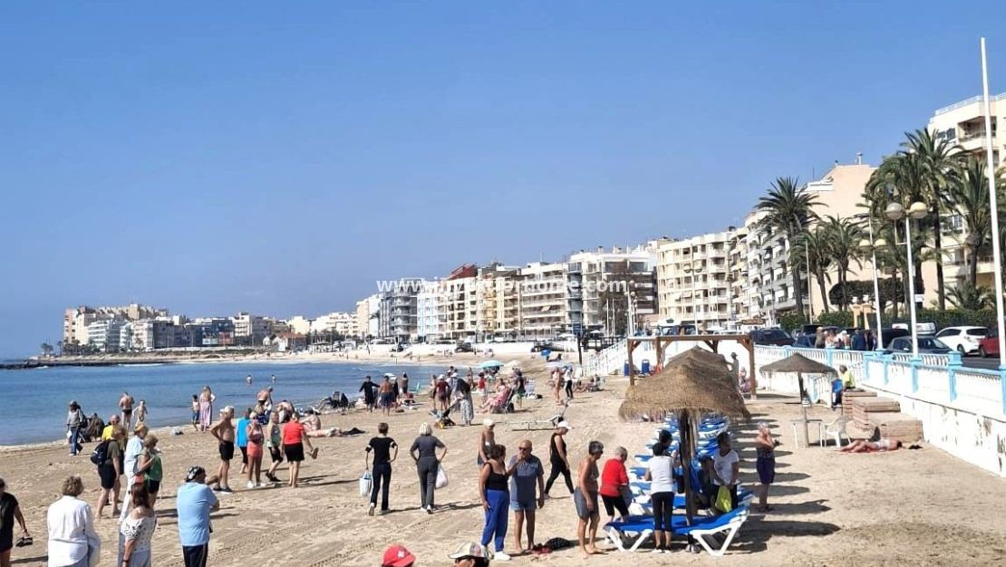Sale - Apartment - Torrevieja - Centro