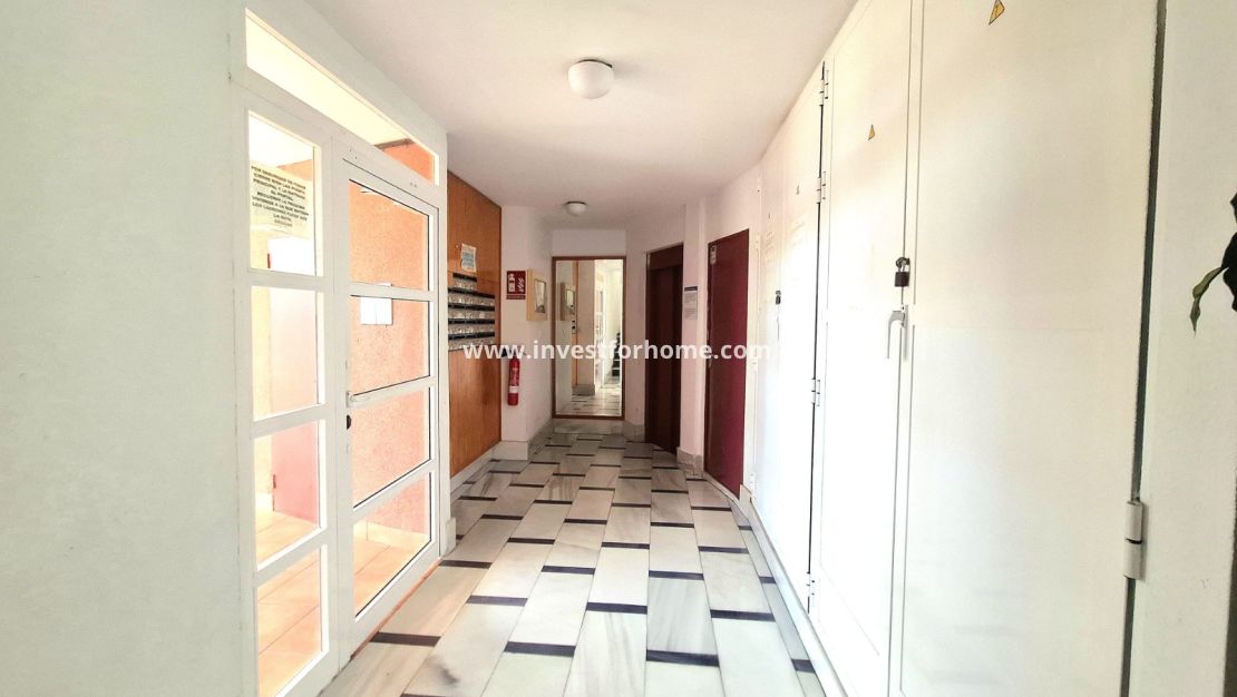Sale - Apartment - Torrevieja - Costa Blanca