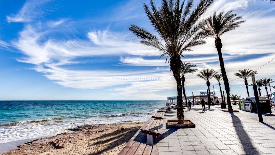 Sale - Apartment - Torrevieja - Costa Blanca