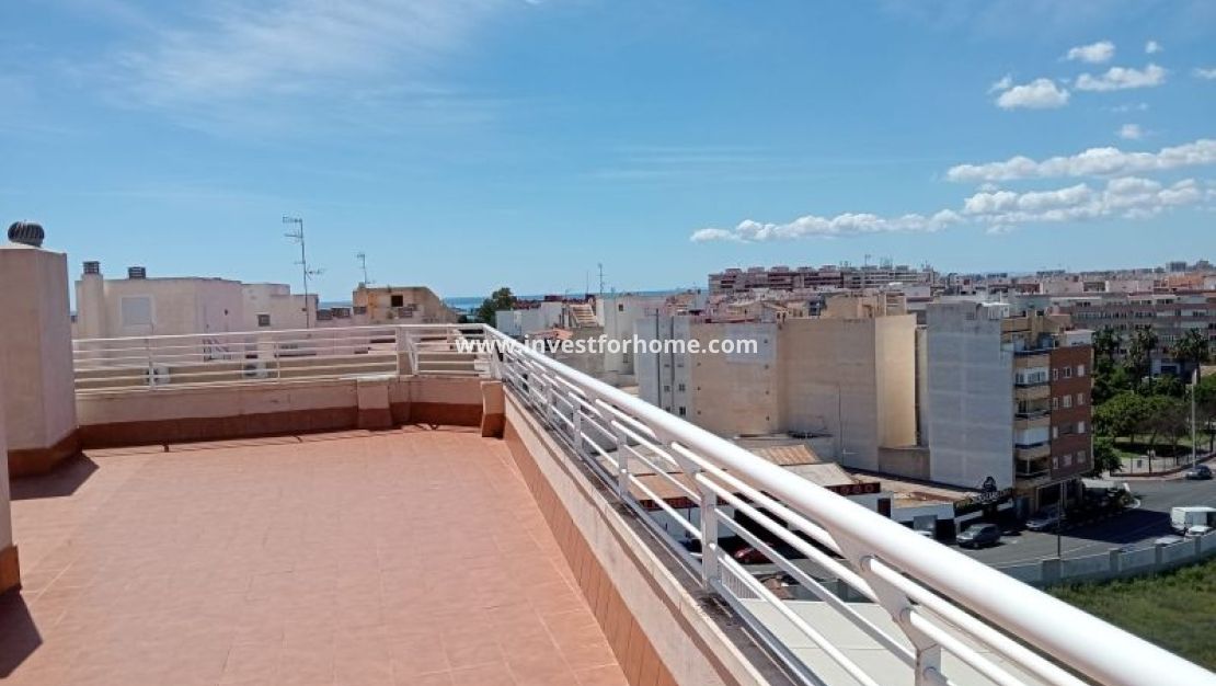 Sale - Apartment - Torrevieja - Costa Blanca