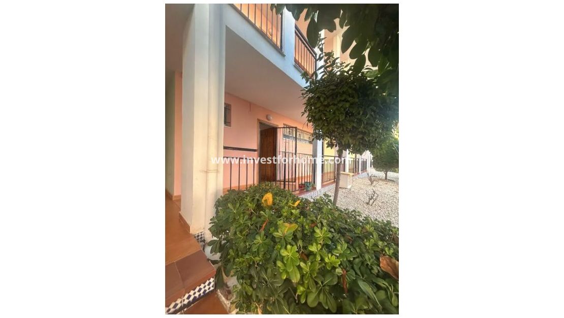 Sale - Apartment - Torrevieja - Costa Blanca