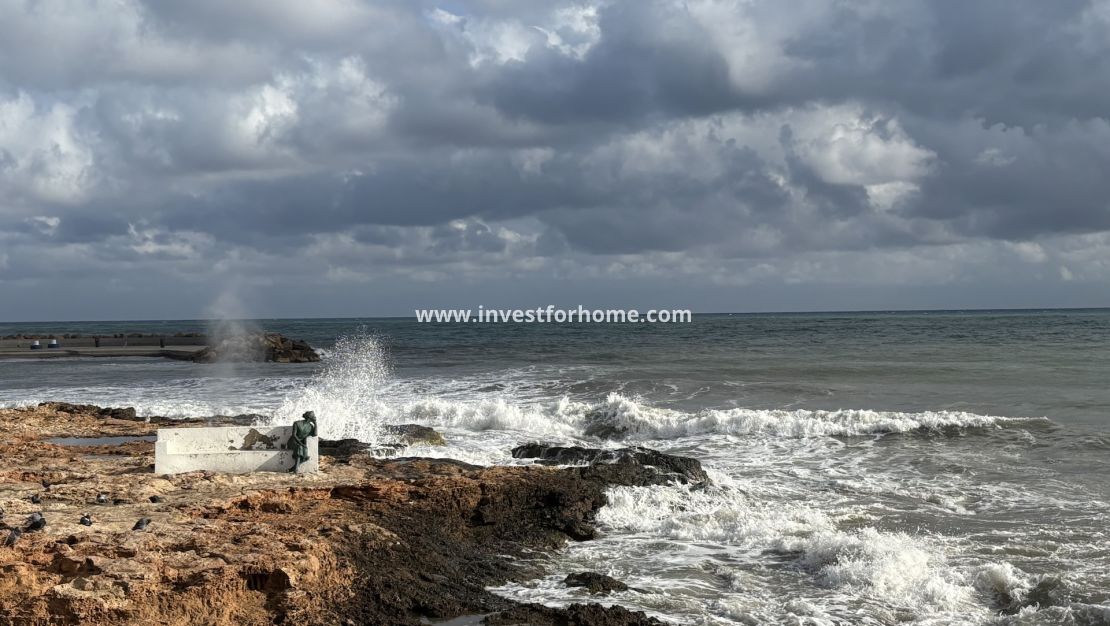 Sale - Apartment - Torrevieja - Costa Blanca