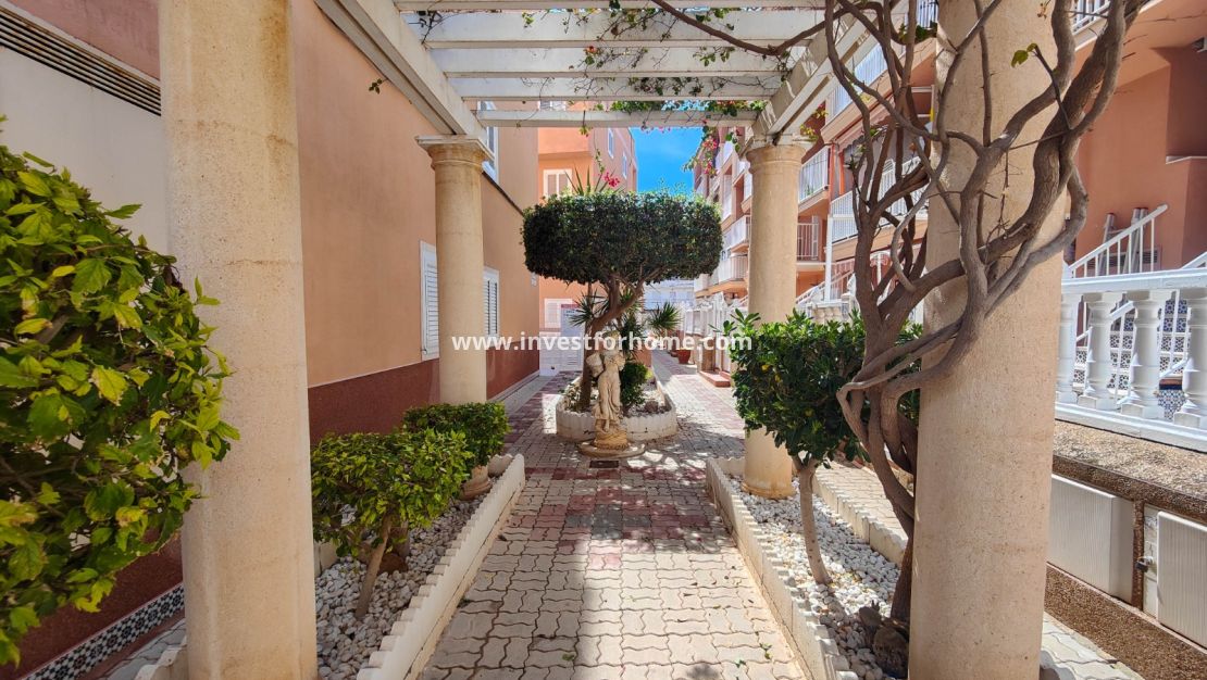 Sale - Apartment - Torrevieja - Costa Blanca