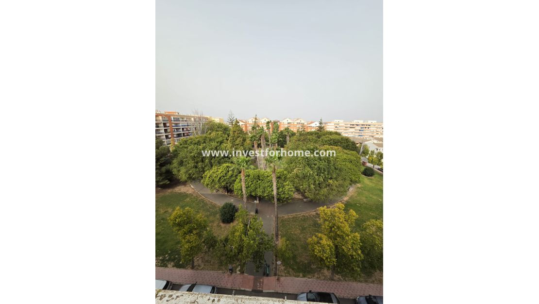 Sale - Apartment - Torrevieja - Costa Blanca