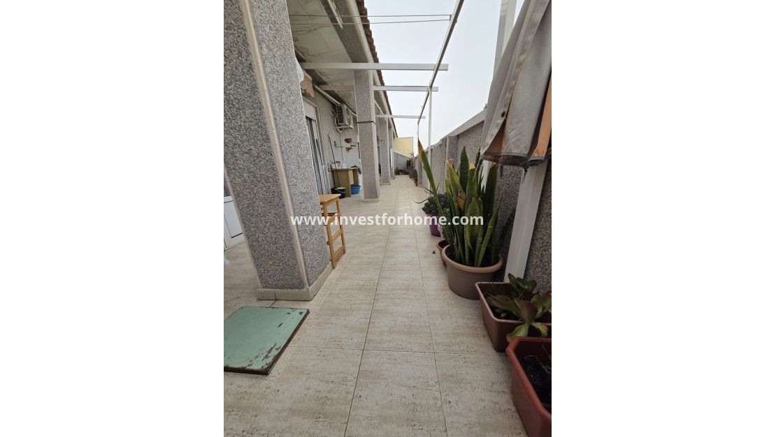 Sale - Apartment - Torrevieja - Costa Blanca