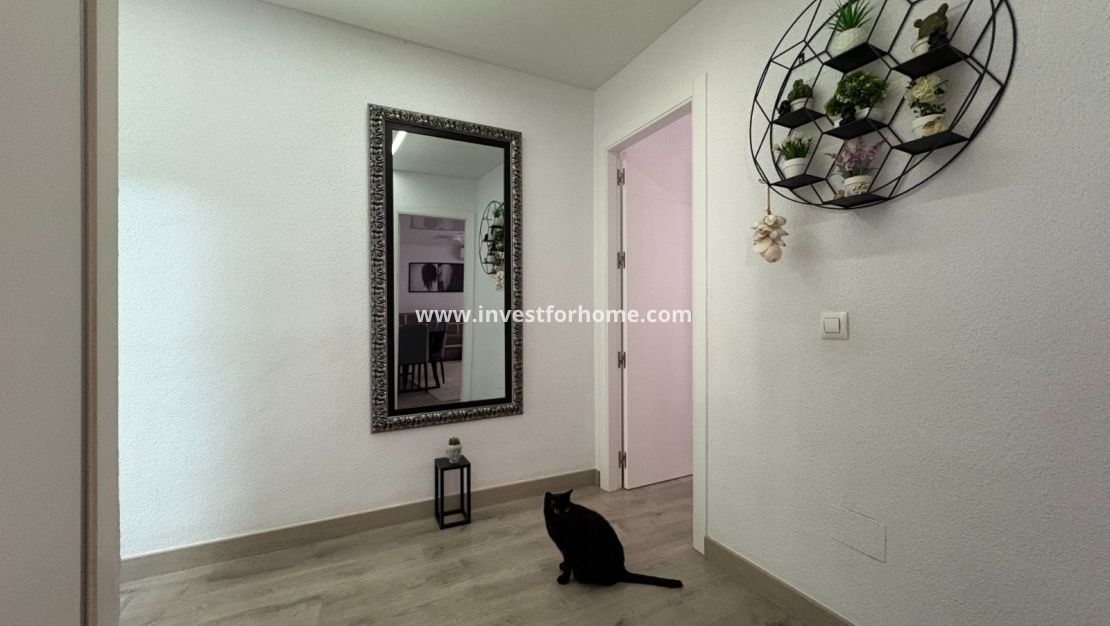 Sale - Apartment - Torrevieja - Costa Blanca