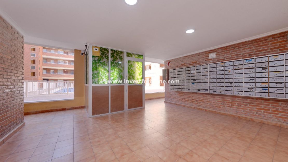 Sale - Apartment - Torrevieja - El Acequión - Los Náufragos