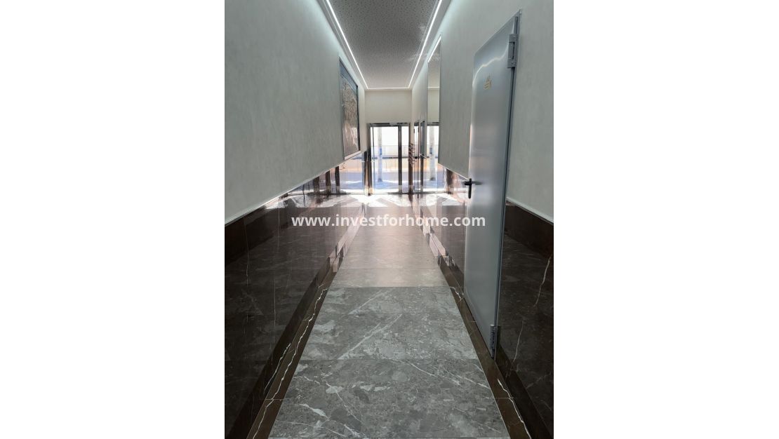 Sale - Apartment - Torrevieja - Estacion De Autobuses