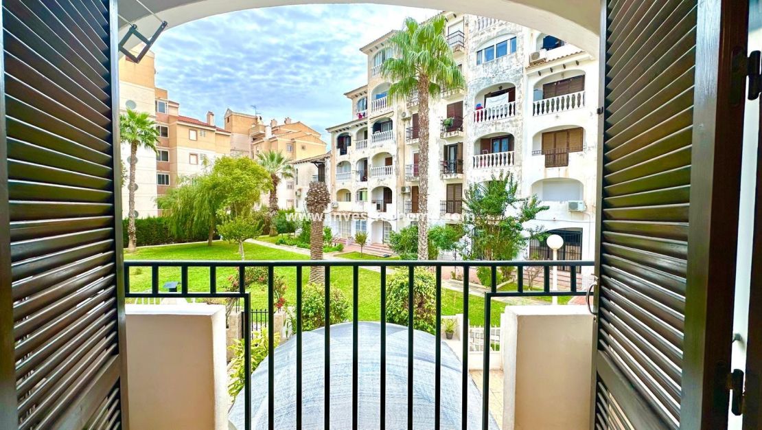 Sale - Apartment - Torrevieja - Estacion De Autobuses