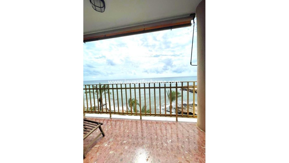 Sale - Apartment - Torrevieja - Estacion De Autobuses