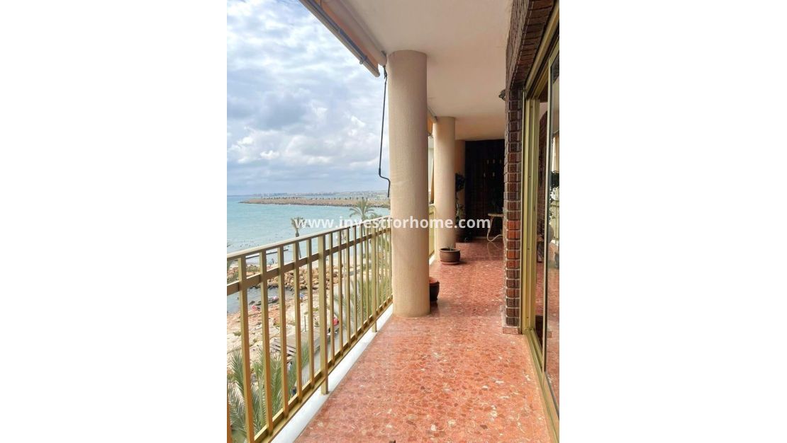 Sale - Apartment - Torrevieja - Estacion De Autobuses