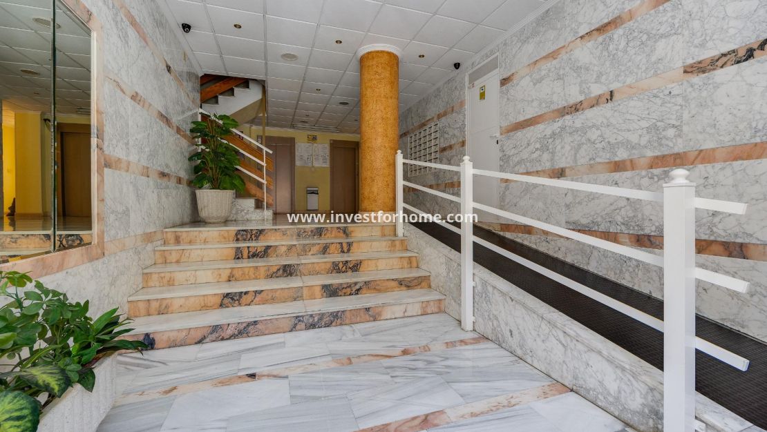 Sale - Apartment - Torrevieja - Estacion De Autobuses