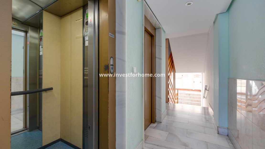 Sale - Apartment - Torrevieja - Estacion De Autobuses