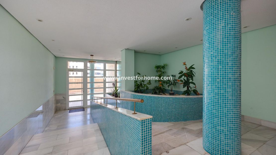 Sale - Apartment - Torrevieja - Estacion De Autobuses