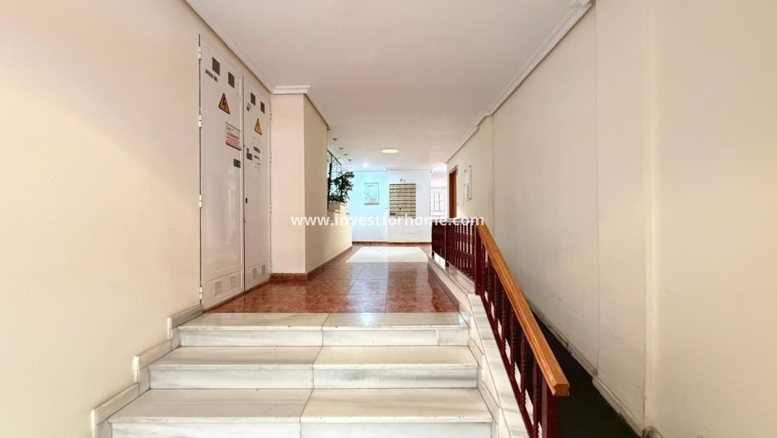 Sale - Apartment - Torrevieja - Estacion De Autobuses