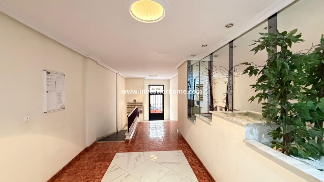 Sale - Apartment - Torrevieja - Estacion De Autobuses