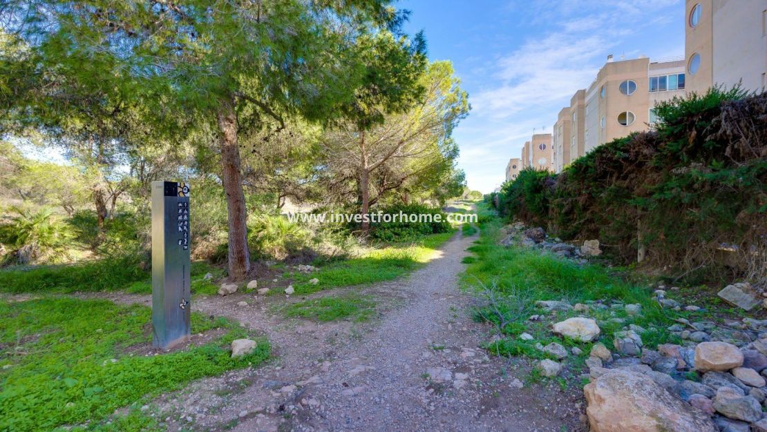 Sale - Apartment - Torrevieja - La Siesta - El Salado - Torreta