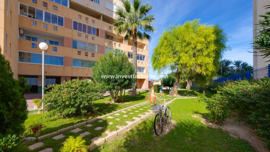 Sale - Apartment - Torrevieja - La Veleta