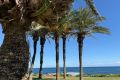 Sale - Apartment - Torrevieja - La veleta
