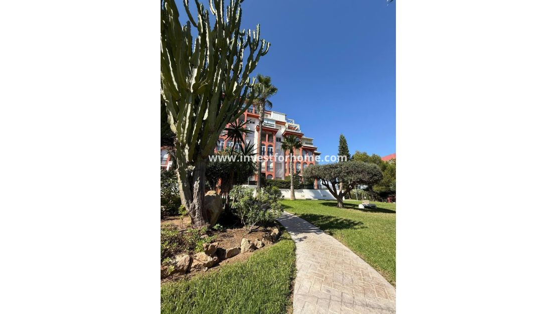 Sale - Apartment - Torrevieja - Nueva Torrevieja - Aguas Nuevas