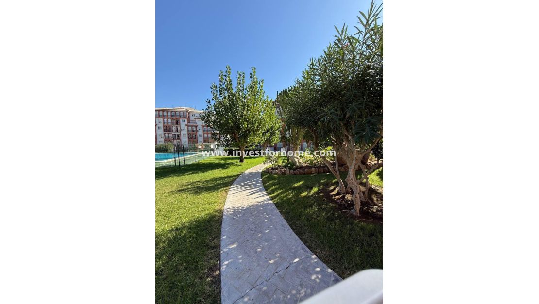 Sale - Apartment - Torrevieja - Nueva Torrevieja - Aguas Nuevas