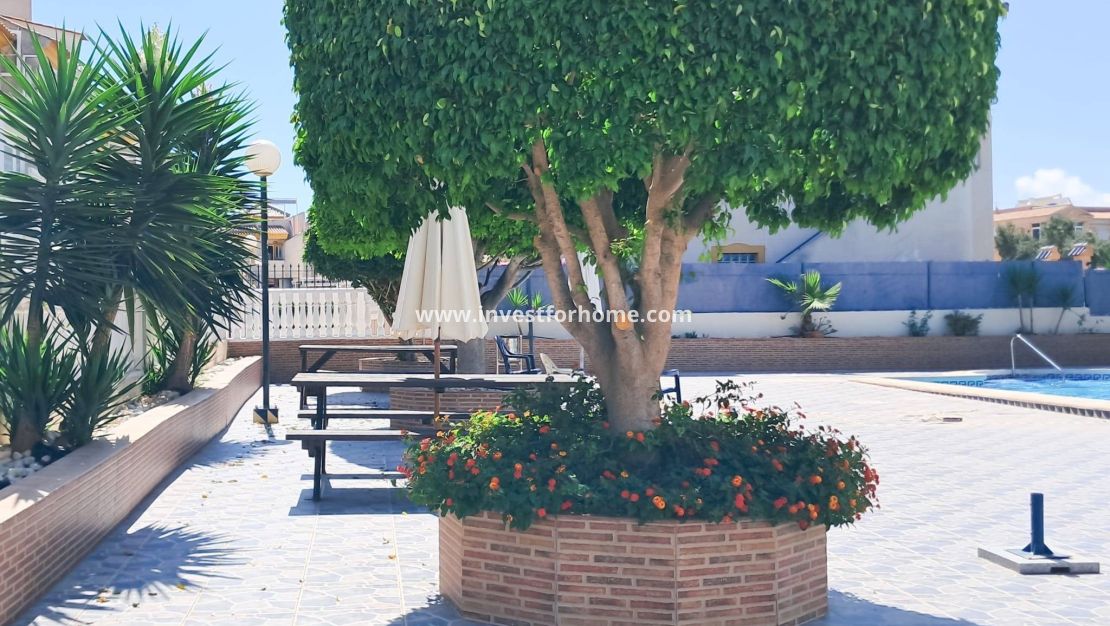 Sale - Apartment - Torrevieja - Parque Acuático - Sector 25