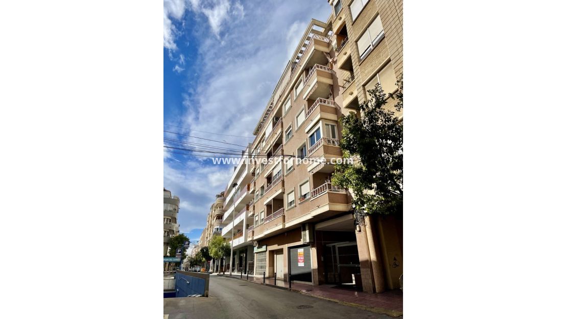 Sale - Apartment - Torrevieja - Playa de cura